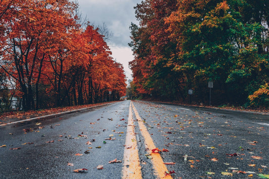 Where Are You Headed?