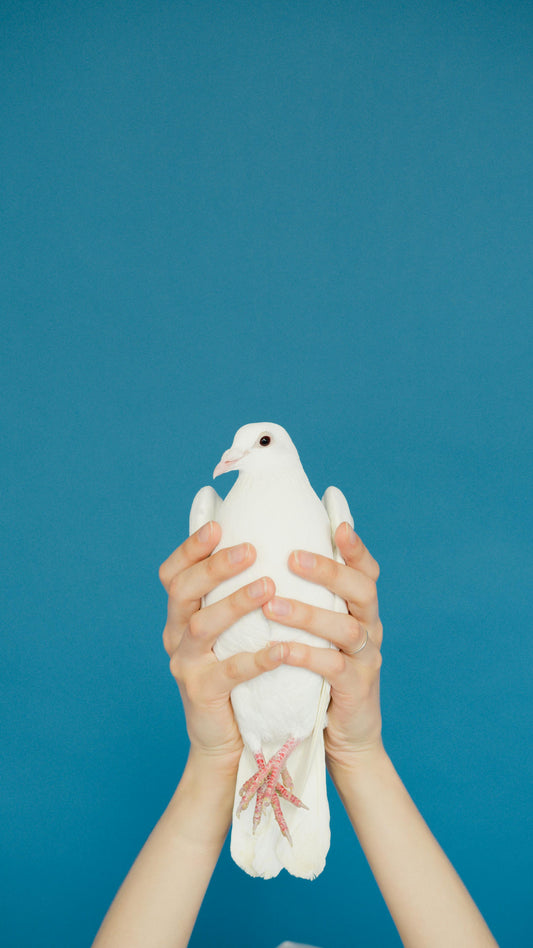 Pigeon-Holed or Self-Restraint. Who's Holding You Back?